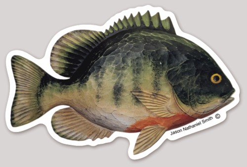 Bluegill Sticker